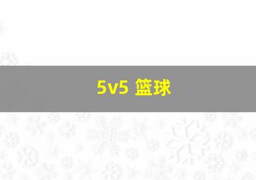 5v5 篮球